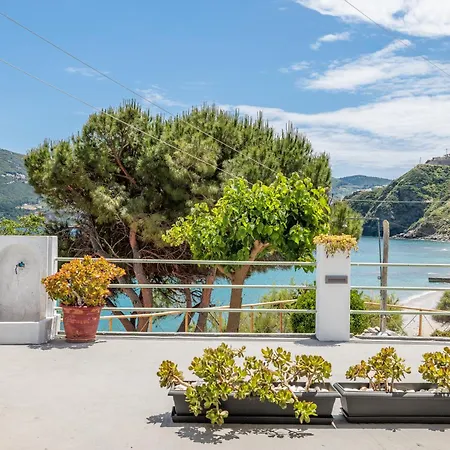 Thalassa * Città di Skopelos