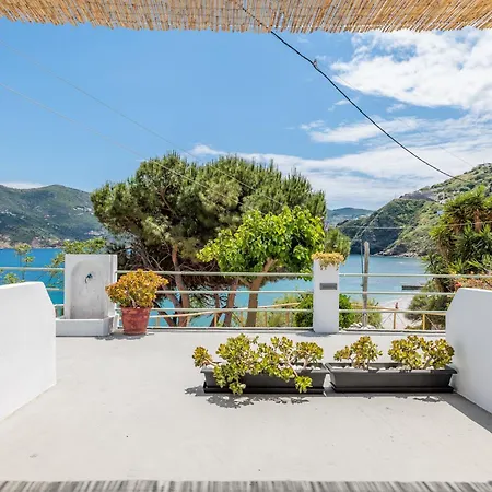 Thalassa Affittacamere Città di Skopelos