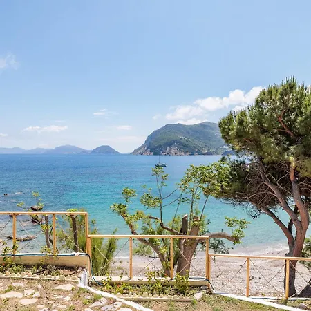 Thalassa Città di Skopelos